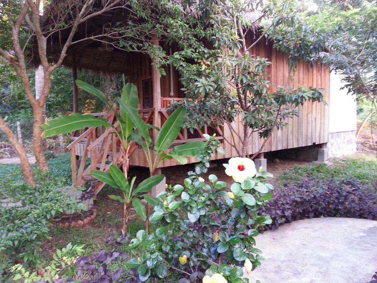 Bird Of Paradise Bungalows Kep Buitenkant foto